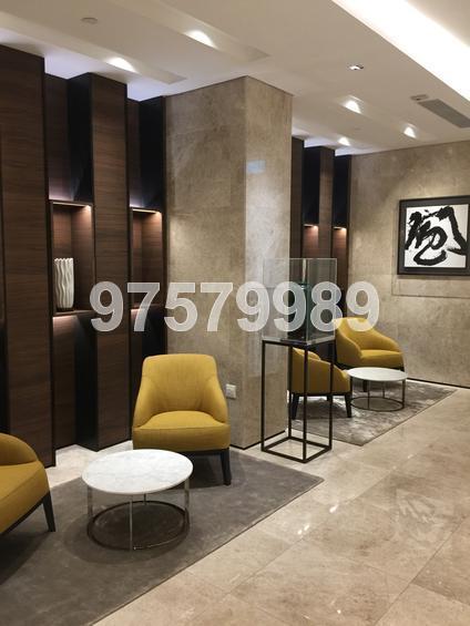 Gramercy Park (D10), Condominium #155424932